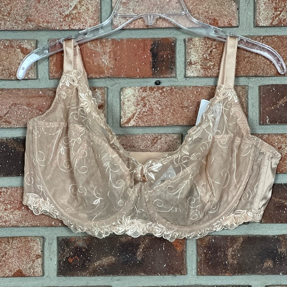 Garmera Lace Bra - Picture 1 of 5